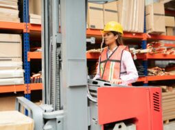 Johnny Buscema Jr.-Safety Equipment Market